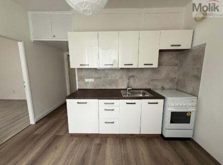 stažený soubor (4).jpg | Pronájem bytu, 3+1, 65 m²
