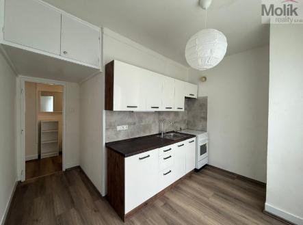 stažený soubor.jpg | Pronájem bytu, 3+1, 65 m²