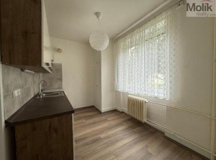 stažený soubor (3).jpg | Pronájem bytu, 3+1, 65 m²
