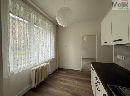 stažený soubor (2).jpg | Pronájem bytu, 3+1, 65 m²