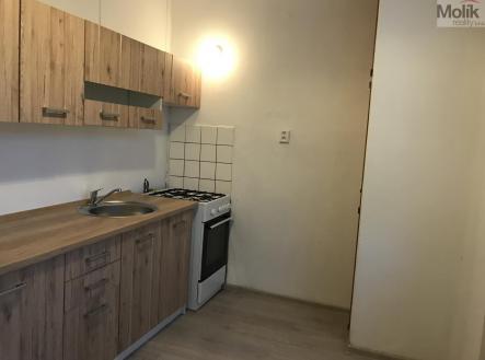IMG_3271.jpg | Pronájem bytu, 2+1, 53 m²