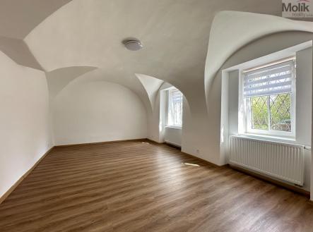 IMG_4030.jpg | Pronájem bytu, 1+1, 36 m²