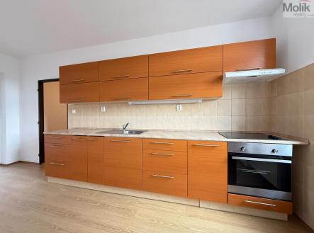 Pronájem bytu, 1+1, 50 m² obrázek