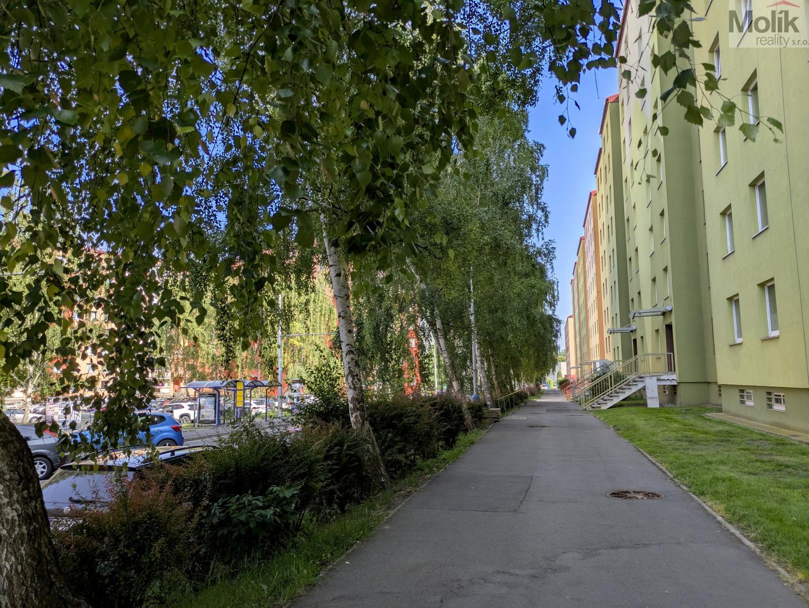 PXL_20250612_145240875.jpg