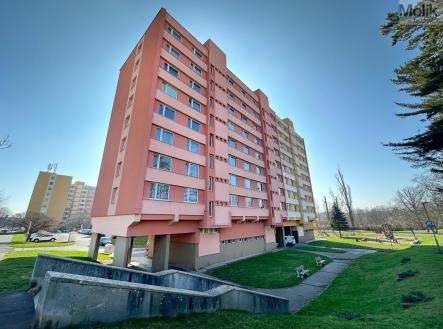 IMG_3694.jpg | Pronájem bytu, 3+1, 63 m²