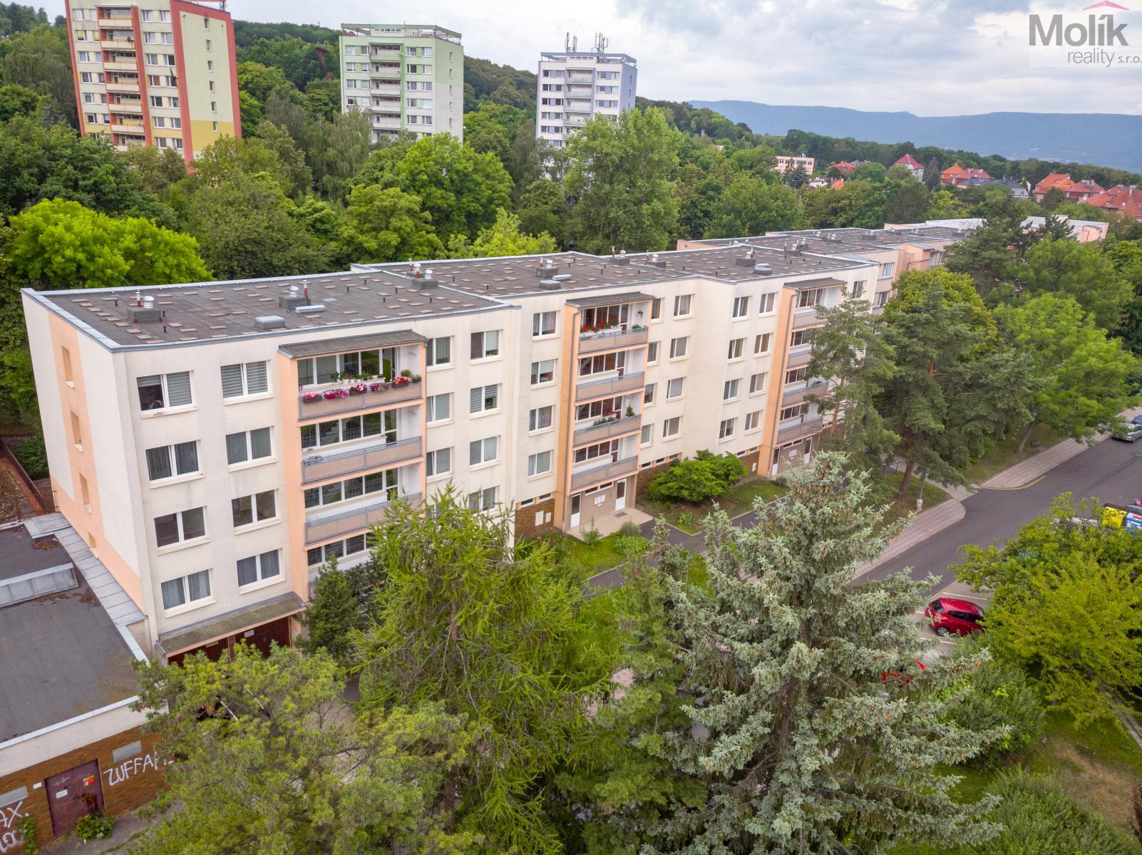 DJI_0894.jpg
