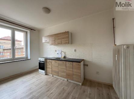 stažený soubor.jpg | Pronájem bytu, 2+1, 53 m²
