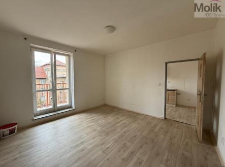 stažený soubor (3).jpg | Pronájem bytu, 2+1, 53 m²
