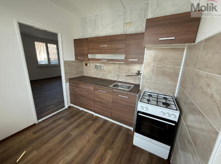 stažený soubor (1).jpg | Pronájem bytu, 3+1, 66 m²