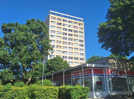 IMG-20250702-WA0012.jpg | Pronájem bytu, 1+1, 41 m²