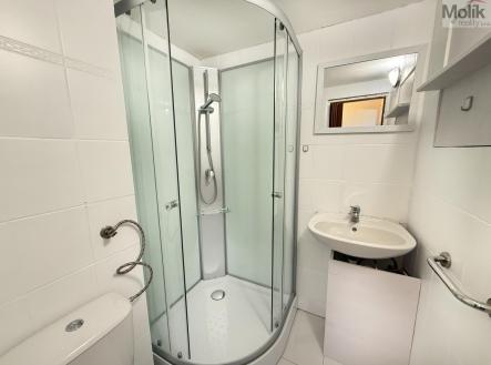 IMG_1582.jpg | Pronájem bytu, 2+kk, 35 m²