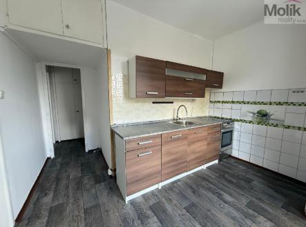 stažený soubor.jpg | Pronájem bytu, 2+1, 54 m²