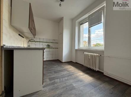 stažený soubor (2).jpg | Pronájem bytu, 2+1, 54 m²