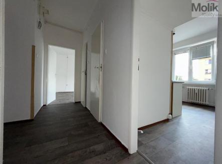 stažený soubor (11).jpg | Pronájem bytu, 2+1, 54 m²