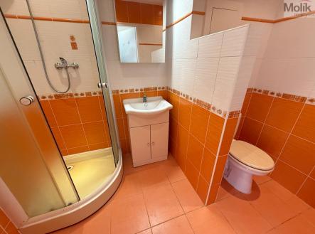 IMG_1663.jpg | Pronájem bytu, 1+1, 34 m²