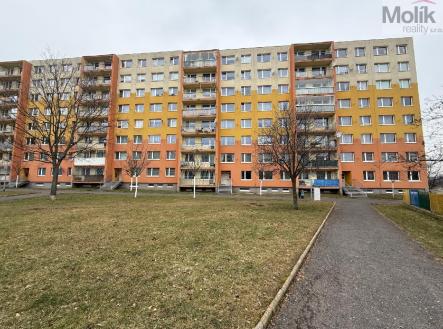 stažený soubor (12).jpg | Pronájem bytu, 2+kk, 39 m²