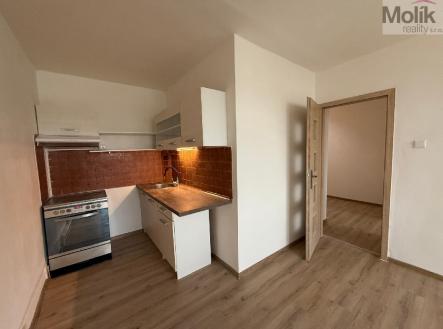 stažený soubor.jpg | Pronájem bytu, 2+kk, 39 m²