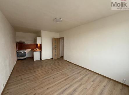 stažený soubor (2).jpg | Pronájem bytu, 2+kk, 39 m²