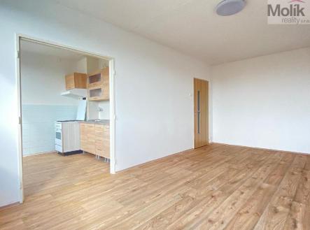 stažený soubor (3).jpg | Prodej bytu, 1+1, 35 m²