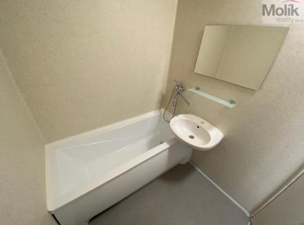 stažený soubor (6).jpg | Prodej bytu, 1+1, 35 m²