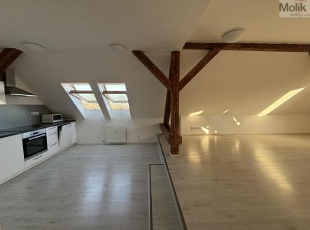 IMG-5023.jpg | Pronájem bytu, 3+kk, 110 m²