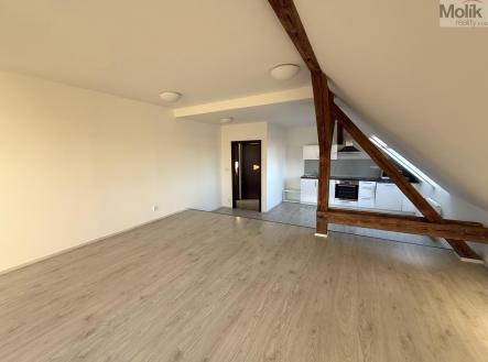 IMG-5030.jpg | Pronájem bytu, 3+kk, 110 m²