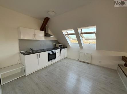 IMG-5019.jpg | Pronájem bytu, 3+kk, 110 m²