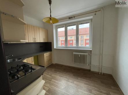 IMG_3685.jpg | Pronájem bytu, 2+1, 59 m²