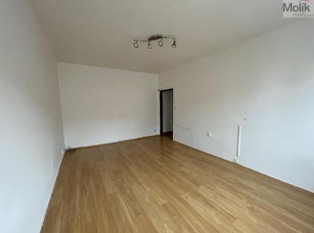 IMG_3688.jpg | Pronájem bytu, 2+1, 59 m²