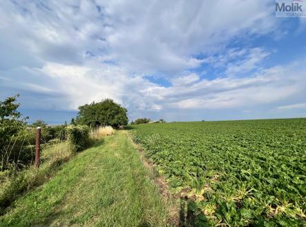 Příjezdová cesta | Prodej - pozemek, zahrada, 707 m²