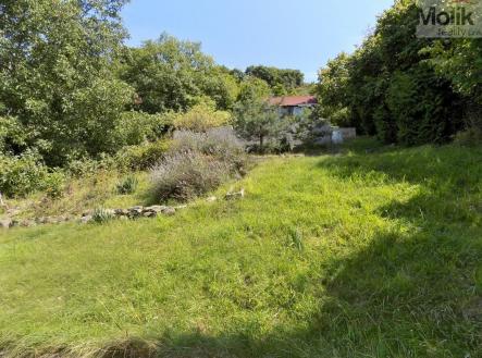 DSCN9488aa.jpg | Prodej - pozemek, zahrada, 1 154 m²