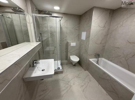 Prodej bytu, 4+1, 75 m² obrázek