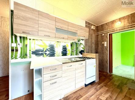 IMG_1086.jpeg | Pronájem bytu, 2+1, 44 m²