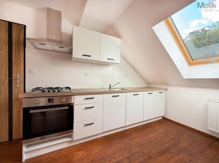 IMG_2245.jpg | Pronájem bytu, 1+1, 42 m²