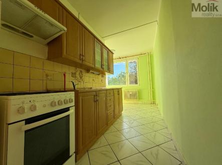 stažený soubor (8).jpg | Pronájem bytu, 2+1, 62 m²