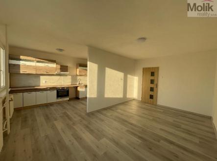 stažený soubor (3).jpg | Pronájem bytu, 3+1, 62 m²