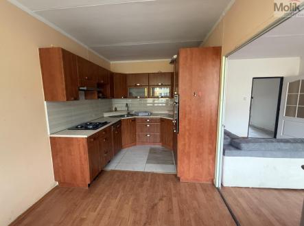 IMG-8290.JPG | Pronájem bytu, 3+1, 65 m²