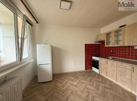 stažený soubor (2).jpg | Pronájem bytu, 3+1, 55 m²