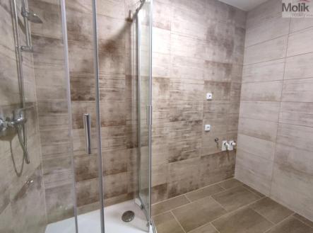 IMG_20240709_153738.jpg | Pronájem bytu, 2+1, 53 m²