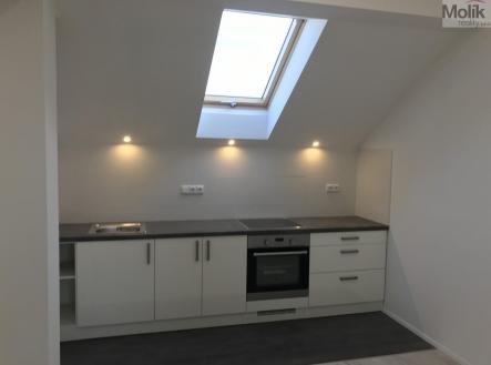 IMG_3145.jpeg | Pronájem bytu, 2+kk, 50 m²