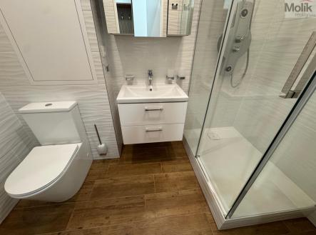 IMG_0939.jpg | Pronájem bytu, 3+1, 72 m²