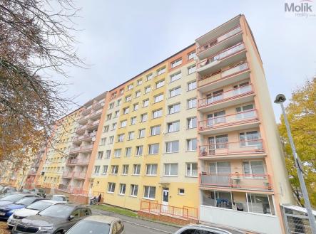 IMG_4812.jpeg | Pronájem bytu, 1+1, 28 m²