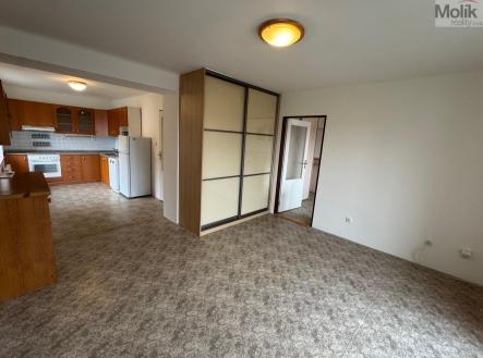 IMG_0991.jpg | Pronájem bytu, 2+kk, 54,3 m²