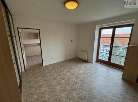 IMG_0990.jpg | Pronájem bytu, 2+kk, 54,3 m²