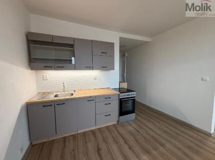 stažený soubor (1).jpg | Prodej bytu, 1+1, 35 m²