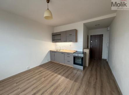 stažený soubor.jpg | Prodej bytu, 1+1, 35 m²