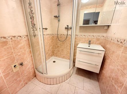 IMG_2799.jpg | Pronájem bytu, 2+1, 52 m²