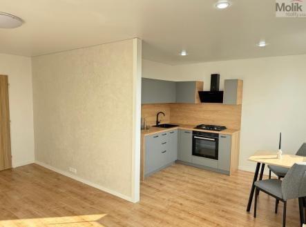 1_PHOTO-2025-11-19-12-31-29.jpg | Prodej bytu, 3+1, 62 m²