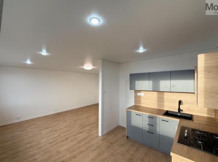 PHOTO-2025-11-19-12-31-28.jpg | Prodej bytu, 3+1, 62 m²