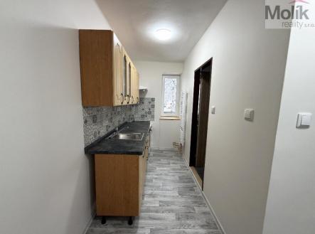 stažený soubor (5).jpeg | Pronájem bytu, 3+kk, 56 m²